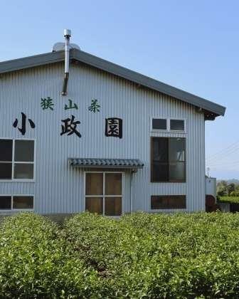 狭山茶の小政園